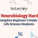 Is Neurobiology Hard? A Complete Beginner’s Guide for Life Sciences Students Neurobiology is Hard? Get the complete beginner's guide for Life Science students. Explore the field in details & master this field.