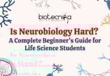 Is Neurobiology Hard? A Complete Beginner’s Guide for Life Sciences Students Neurobiology is Hard? Get the complete beginner's guide for Life Science students. Explore the field in details & master this field.