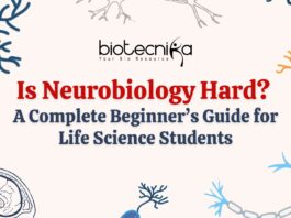 Neurobiology is Hard? Get the complete beginner's guide for Life Science students. Explore the field in details & master this field.
