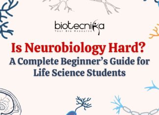 Is Neurobiology Hard? A Complete Beginner’s Guide for Life Sciences Students Neurobiology is Hard? Get the complete beginner's guide for Life Science students. Explore the field in details & master this field.