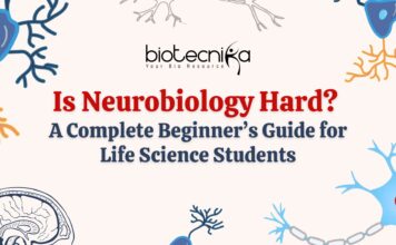 Is Neurobiology Hard? A Complete Beginner’s Guide for Life Sciences Students Neurobiology is Hard? Get the complete beginner's guide for Life Science students. Explore the field in details & master this field.