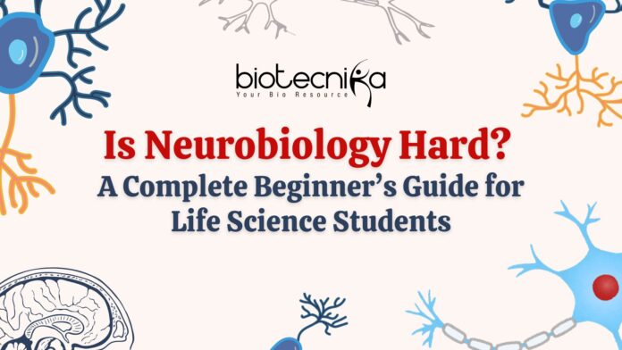 Blue Playful Human Neuron Group Project Presentation Neurobiology is Hard? Get the complete beginner's guide for Life Science students. Explore the field in details & master this field.