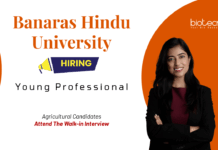 Young Professional Jobs at Banaras Hindu University. Agricultural Candidates, Attend The Walk-in Interview.
