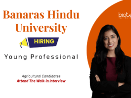 Young Professional Jobs at Banaras Hindu University. Agricultural Candidates, Attend The Walk-in Interview.
