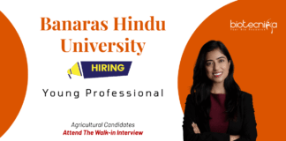 Young Professional Jobs at Banaras Hindu University. Agricultural Candidates, Attend The Walk-in Interview.