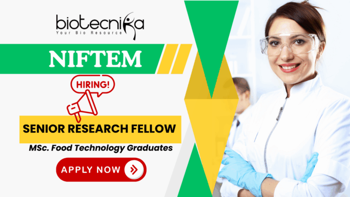 NIFTEM SRF recruitment for food technology jobs and research job opportunities