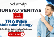 Freshers Biotechnology Jobs at Bureau Veritas | Molecular Biology – Trainee Trainee Molecular Biology recruitment for biotechnology jobs at Bureau Veritas