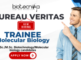 Trainee Molecular Biology recruitment for biotechnology jobs at Bureau Veritas
