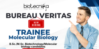 Freshers Biotechnology Jobs at Bureau Veritas | Molecular Biology – Trainee Trainee Molecular Biology recruitment for biotechnology jobs at Bureau Veritas