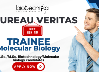 Trainee Molecular Biology recruitment for biotechnology jobs at Bureau Veritas