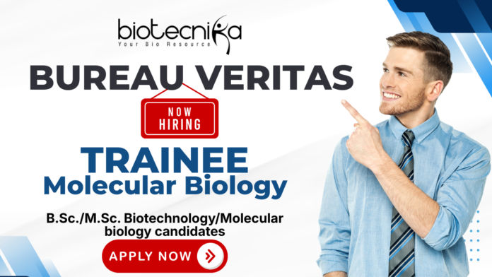 Bureau Veritas Trainee Molecular Biology recruitment for biotechnology jobs at Bureau Veritas