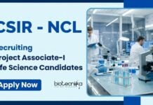 Project Associate Job at CSIR-NCL | Apply Now for Life Science Career Apply for Project Associate job under CSIR NCL Recruitment 2025. Excellent Career in Life Science Research with DST-funded Project.