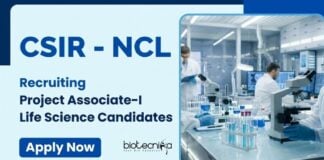 Project Associate Job at CSIR-NCL | Apply Now for Life Science Career Apply for Project Associate job under CSIR NCL Recruitment 2025. Excellent Career in Life Science Research with DST-funded Project.