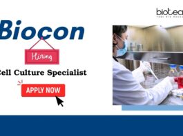 Biocon Biologics is Hiring PhD Candidates | Apply Now for Life Science Jobs Life Science Jobs at Biocon | Hiring PhD Candidates in Chennai, India | Apply Now for a Rewarding Biocon Career