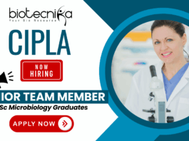 Junior Team Member Microbiology job – microbiology jobs for MSc microbiology at Cipla career