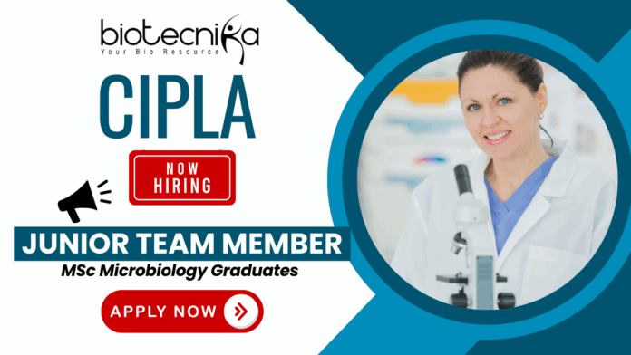 Cipla Junior Team Member Microbiology job – microbiology jobs for MSc microbiology at Cipla career