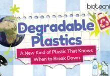 Degradable Plastics: A New Kind of Plastic That Knows When to Break Down Degradable Plastics: A New Kind of Plastic That Knows When to Break Down | Self-destructive Plastics | Plastics Designed to Vanish