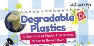 Degradable Plastics: A New Kind of Plastic That Knows When to Break Down Degradable Plastics: A New Kind of Plastic That Knows When to Break Down | Self-destructive Plastics | Plastics Designed to Vanish