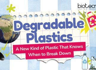 Degradable Plastics: A New Kind of Plastic That Knows When to Break Down Degradable Plastics: A New Kind of Plastic That Knows When to Break Down | Self-destructive Plastics | Plastics Designed to Vanish