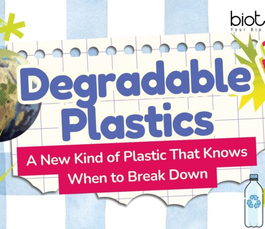 Degradable Plastics: A New Kind of Plastic That Knows When to Break Down | Self-destructive Plastics | Plastics Designed to Vanish