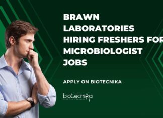 Freshers Microbiologist Job Vacancies at Brawn Laboratories