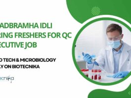 Freshers QC Executive Jobs at Naadbramha Idli