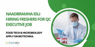 Freshers QC Executive Jobs at Naadbramha Idli