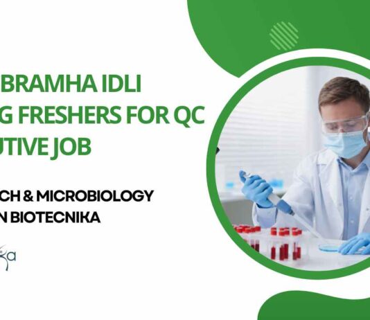 Freshers QC Executive Jobs at Naadbramha Idli