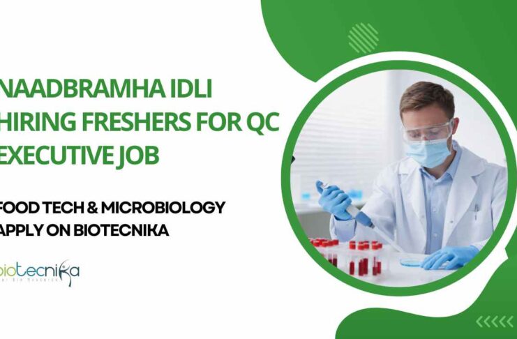 Freshers QC Executive Jobs at Naadbramha Idli