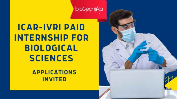 ICAR-IVRI Bengaluru Internships | Biological Sciences Internships | Life Sciences Internships ICAR-IVRI Bengaluru Internships | Biological Sciences Internships | Life Sciences Internships