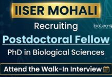 IISER Mohali Recruitment – PhD in Life Sciences Attend the Walk-In Interview IISER Mohali recruitment 2025 for Post Doctoral Fellow in Life Science Research. Walk-in Interview for DBT funded Research Project.