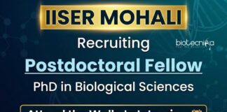 IISER Mohali Recruitment – PhD in Life Sciences Attend the Walk-In Interview IISER Mohali recruitment 2025 for Post Doctoral Fellow in Life Science Research. Walk-in Interview for DBT funded Research Project.
