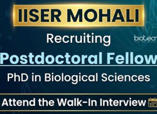 IISER Mohali Recruitment – PhD in Life Sciences Attend the Walk-In Interview IISER Mohali recruitment 2025 for Post Doctoral Fellow in Life Science Research. Walk-in Interview for DBT funded Research Project.