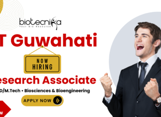 IIT Guwahati Research Associate Jobs | Walk-In Interview for Biosciences Project IIT Guwahati research associate jobs walk-in for life science jobs