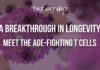 The Immune Cells Behind Longevity: Scientists Reveal a New Ageing Clue Illustration of immune cells and T helper cells supporting longevity and healthy aging
