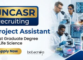JNCASR Recruitment – Life Sciences Apply Now for Project Assistant Jobs Apply for Project Assistant Jobs at JNCASR, Bengaluru. ANRF-funded Research Role Ideal for Post Graduates Building a Career in Life Science.