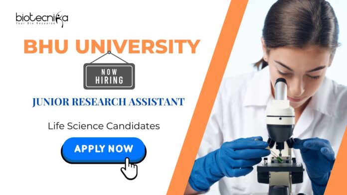 Junior Research Assistant Research Jobs: BHU Recruiting Junior Research Assistant | BTech/BE/ MSc in Life Sciences Can Apply Now | Life Science Jobs