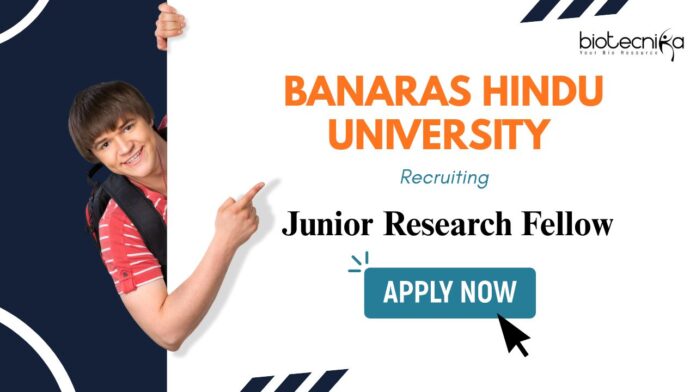 BHU Recruitment: Junior Research Fellow Position Available | MSc Biochemistry/ Zoology Candidates Apply Now | JRF Vacancy