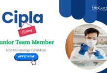 MSc Microbiology Jobs: Cipla is Hiring a Junior Team Member in Rangpo, Sikkim | MSc Graduates Apply Now for Cipla Career