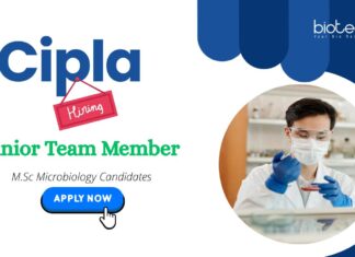 MSc Microbiology Jobs in Cipla – Apply Now MSc Microbiology Jobs: Cipla is Hiring a Junior Team Member in Rangpo, Sikkim | MSc Graduates Apply Now for Cipla Career