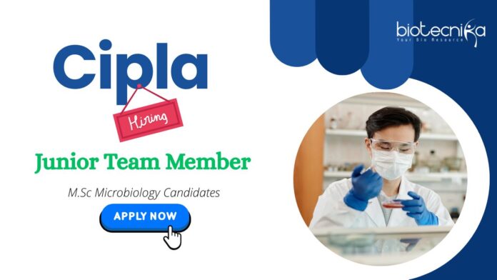 MSc Microbiology Jobs: Cipla is Hiring a Junior Team Member in Rangpo, Sikkim | MSc Graduates Apply Now for Cipla Career
