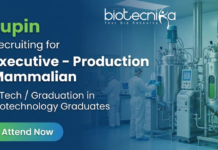 Lupin Executive Job – Production Mammalian | Biotechnology