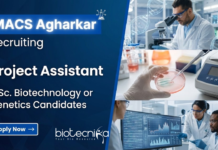 Project Assistant Job at MACS Agharkar Research Institute Project Assistant Job at MACS Agharkar Research Institute research job life science job