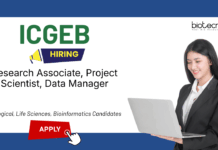 Research Jobs at ICGEB. RA-I, Project Scientist, Data Manager Positions Vacancies. Life Sciences Candidates, Apply Now.