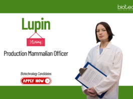 Biotechnology Jobs at Lupin. Candidates B.Tech/B.Sc. Biotech Apply Now Production Mammalian Officer Role in Pune.