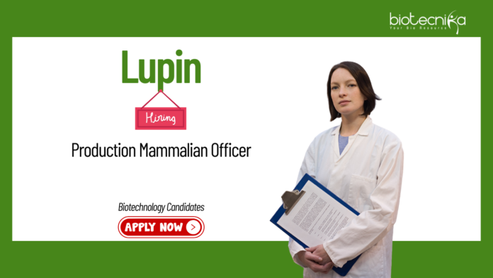 Biotechnology Jobs at Lupin. Candidates B.Tech/B.Sc. Biotech Apply Now Production Mammalian Officer Role in Pune.