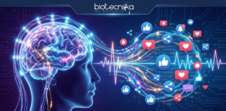 Modern Day High: How Social Media Rewires the Human Brain – A New EEG Study Reveals EEG study reveals how social media alters brainwaves, affects attention, reward pathways, and causes digital fatigue.