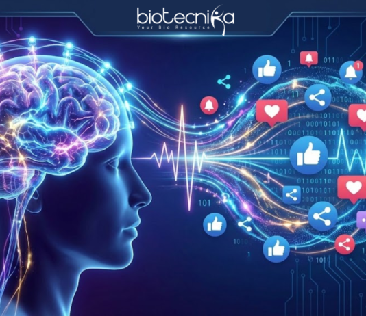 EEG study reveals how social media alters brainwaves, affects attention, reward pathways, and causes digital fatigue.