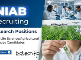 Project Associate Job at NIAB Recruitment | Life Science Jobs Project Associate Job at NIAB recruitment for life science jobs in Hyderabad