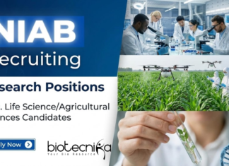 Project Associate Job at NIAB Recruitment | Life Science Jobs Project Associate Job at NIAB recruitment for life science jobs in Hyderabad